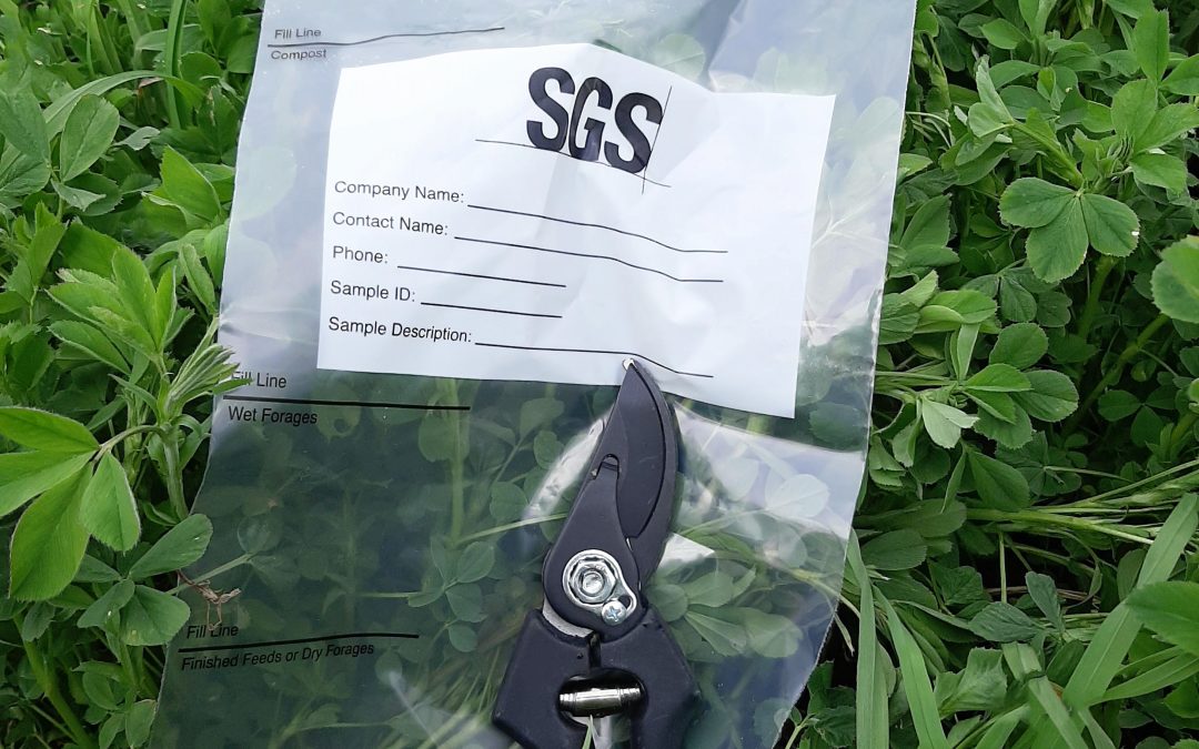 SGS Seed and Crop News: June 2020